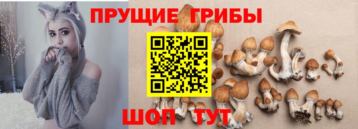 Галлюциногенные грибы GOLDEN TEACHER Трёхгорный